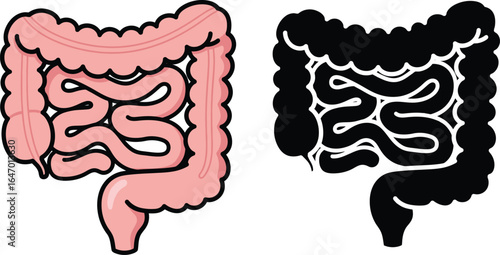 Anatomical human large and small intestines in color and silhouette