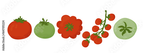 Flat design tomatoes set isolated on white background. Cute vegetarian food. Hand drawn vector illustration.