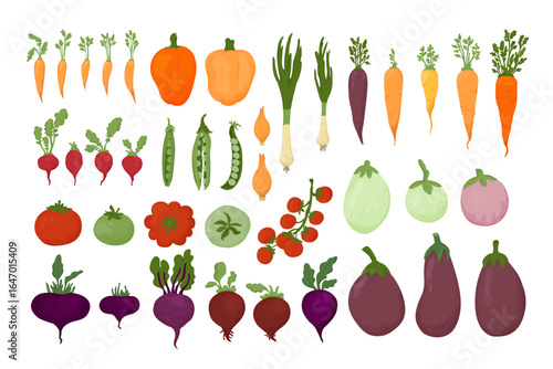 Collection of colorful flat design fresh delicious vegetables isolated on white background. Bundle of healthy and tasty vegan products, wholesome vegetarian food. Cute hand drawn vector illustration.