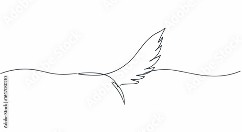 A delicate single-line drawing of a graceful bird wing, symbolizing freedom and aspiration.