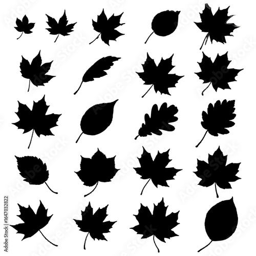 Set of black silhouettes of various tree leaves including maple and oak with textured edges.