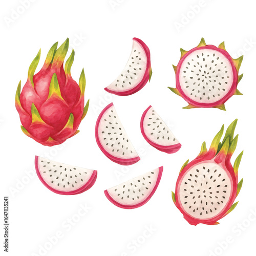 Dragonfruit Bundle—Dragonfruit, Half of Dragonfruit, Slice of Dragonfruit. Watercolor Illustration. Design Element. Clip art. Suitable for artwork design.