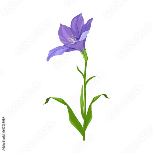 Beautiful bluebell flowers on an isolated background. Purple freesia flowers in a vector design element for wedding invitations and cards.
