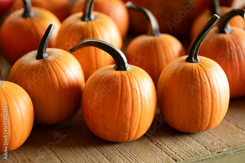 pumpkins on a market stall