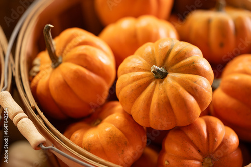 pumpkin in a basket