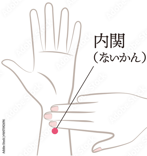 手のツボ　内関
