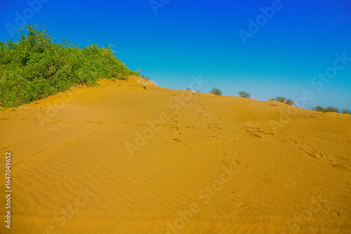 Принти на полотні Types of landscape