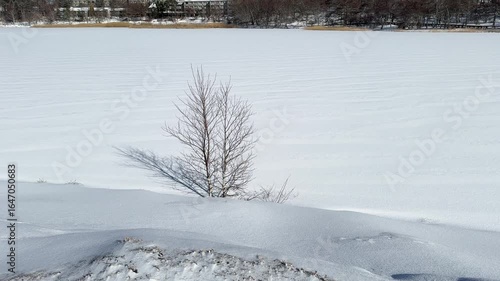 雪と氷に覆われた女神湖の風景