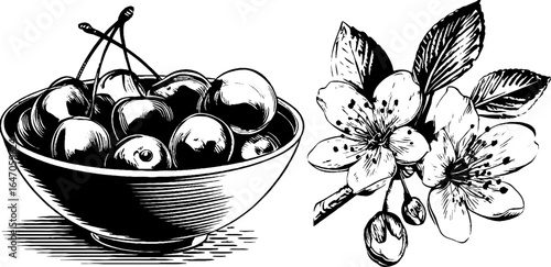 Engraved vintage illustration set of cherry bowl and blossoms for retro design
