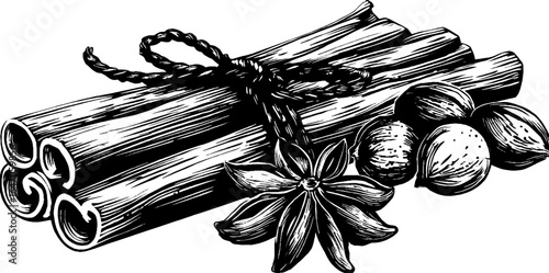 Engraved illustration of cinnamon spice bundle with star anise and nutmeg for culinary design