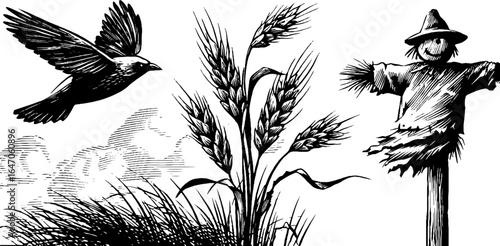 Vintage hand-drawn engraving of gale wind bending wheat with bird and scarecrow for rustic design