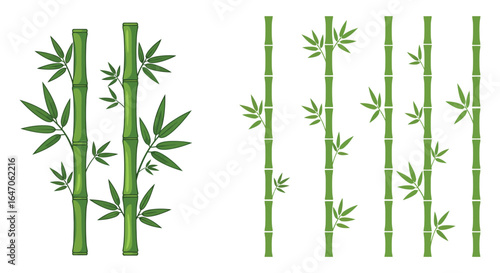 Bamboo Stalks and Leaves in a Green Asian Inspired Botanical Arrangement