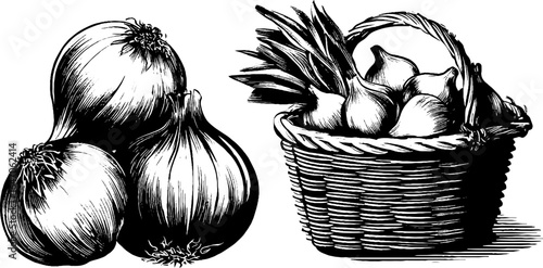 Vintage engraving of onion braid and basket with wick for retro culinary decor