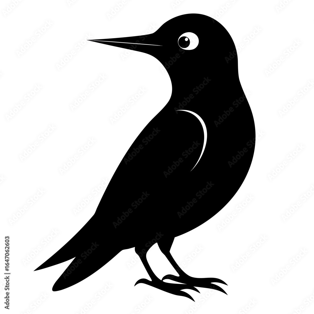 Obraz premium Treecreeper vector clean black silhouette design white background