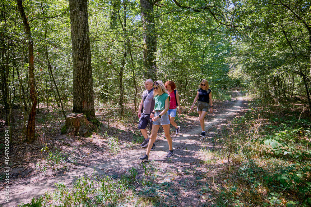 Obraz premium A group of people hiking through the forest and relaxing on a sunny summer day