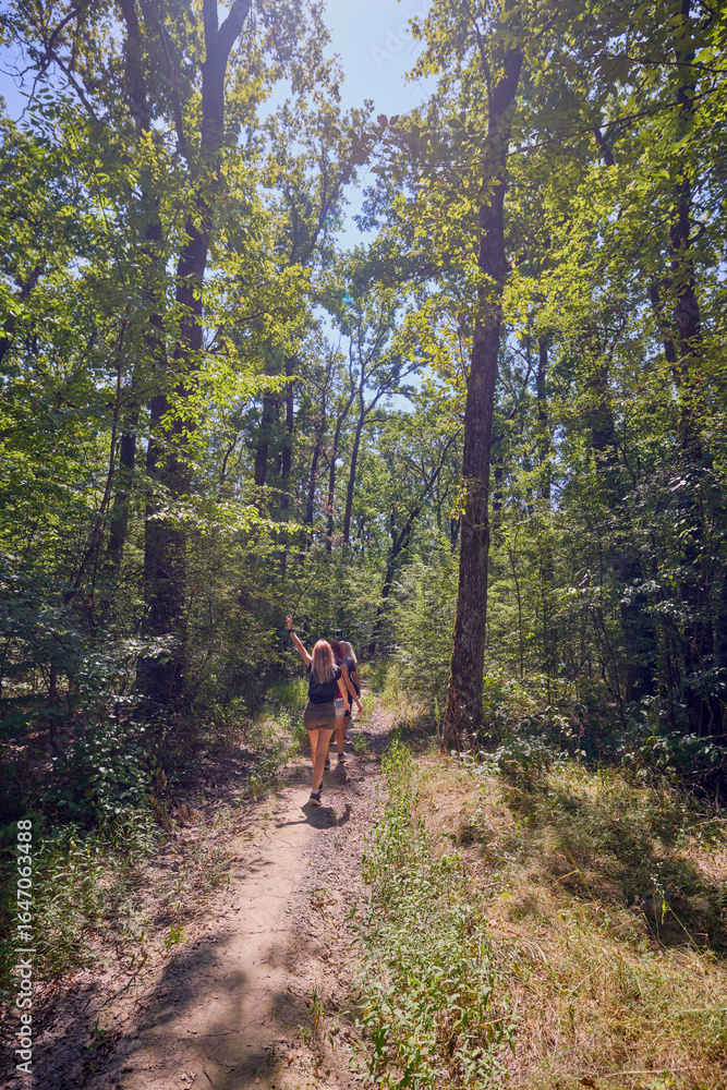 A group of people hiking through the forest and relaxing on a sunny summer day A group of people hiking through the forest and relaxing on a sunny summer day