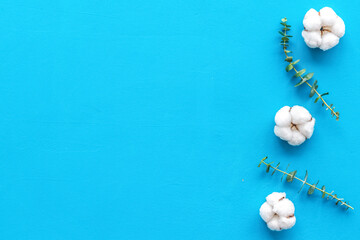 Flowers border with green eucalyptus branches and dry cotton flowers on blue background top view copy space