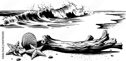 Vintage engraved illustration of waves and seashells for nautical design