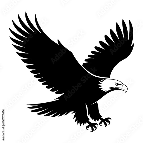 Majestic black eagle soaring with wings spread wide bird flying