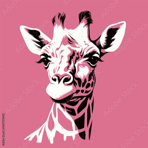 The image features a detailed close-up of a giraffes face, showcasing its unique patterns and features against a vibrant pink background. The giraffes long eyelashes, spotted fur, and expressive eyes 
