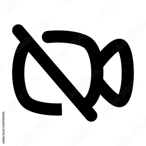 camera off icon