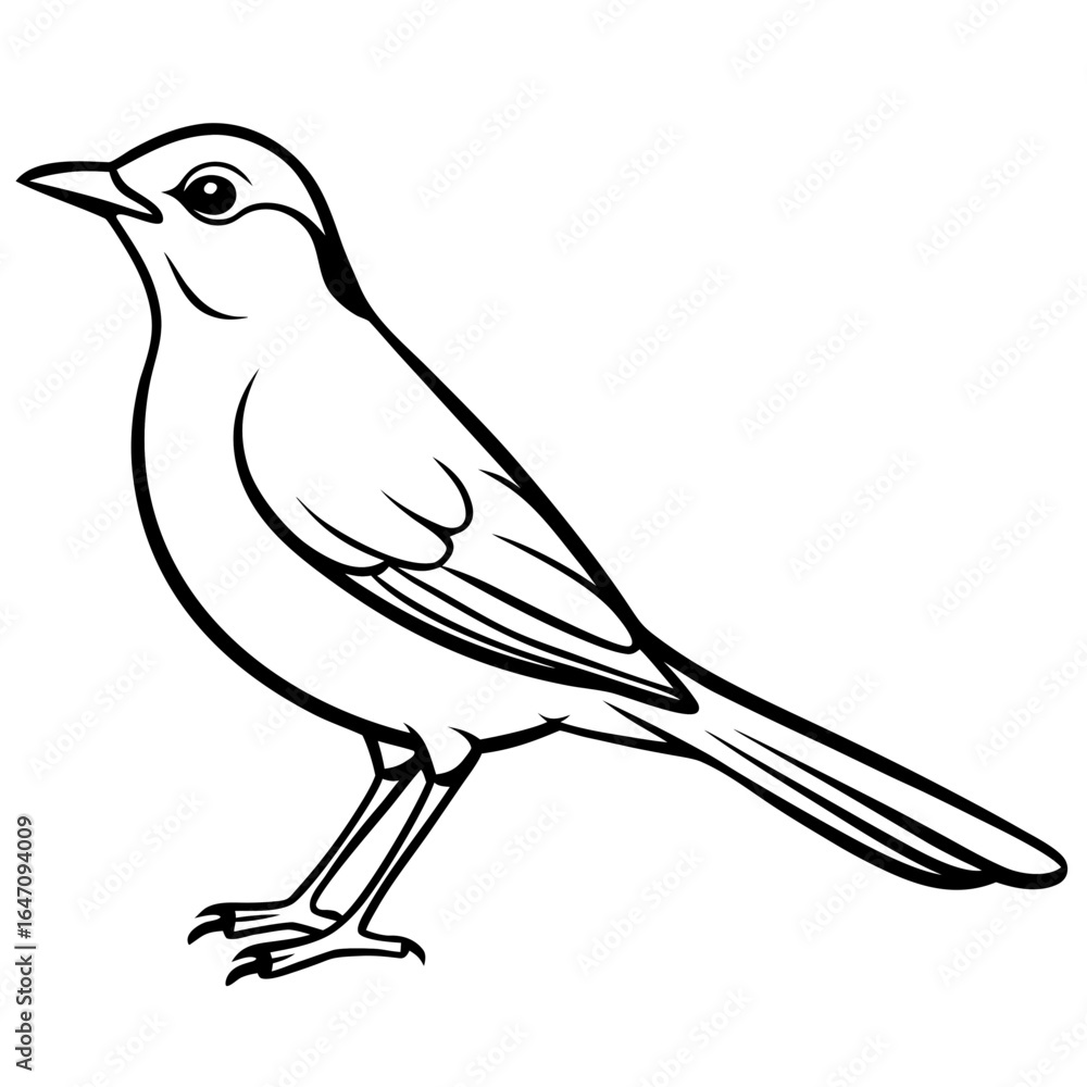 Obraz premium Nightingale line art vector