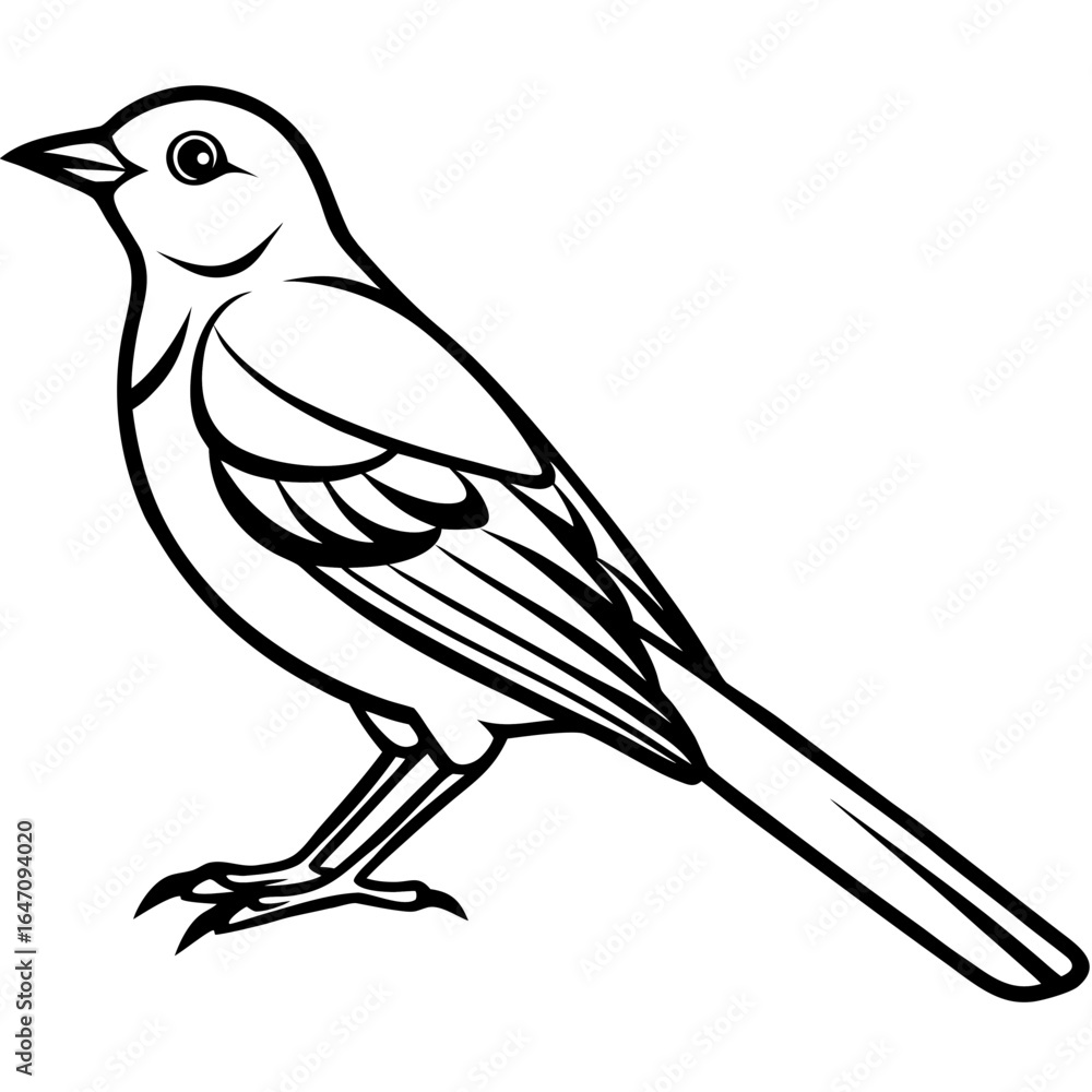 Obraz premium Nightingale line art vector