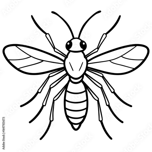 Gnat line art vector