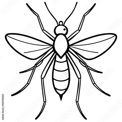 Gnat line art vector
