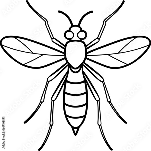 Gnat line art vector