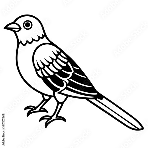 Cuckoo line art vector