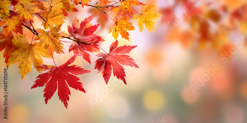 web banner design for autumn season and end year activity with red and yellow maple leaves with soft focus light and bokeh background
