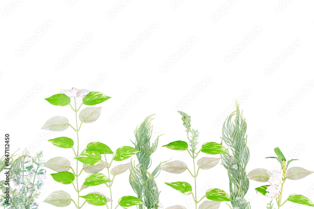 Naklejka premium Green plant leaves and fresh floral herbs isolated on a white background, representing natural growth and botanical beauty