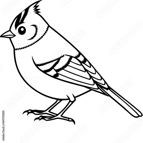 Kinglet line art vector