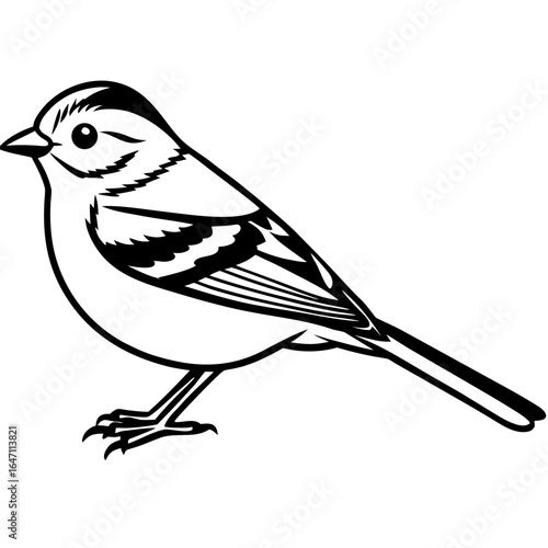 Kinglet line art vector