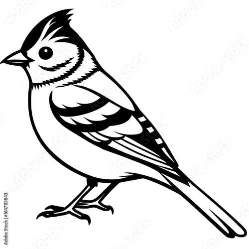 Kinglet line art vector