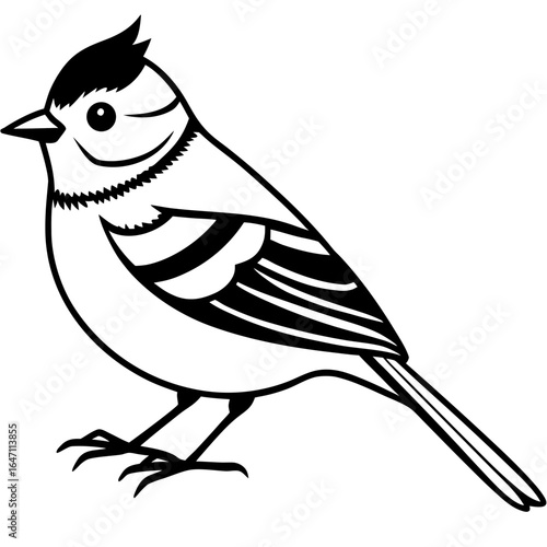 Kinglet line art vector