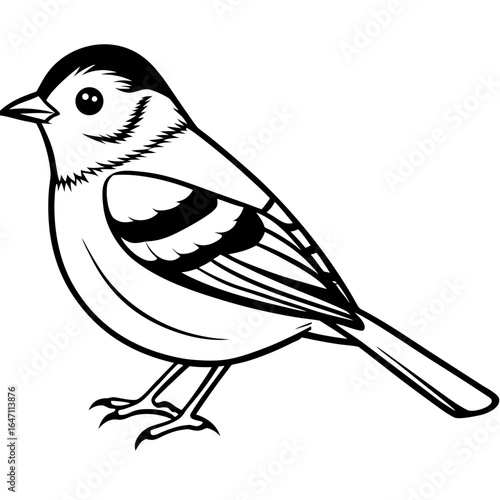 Kinglet line art vector
