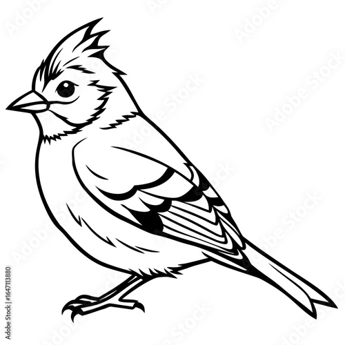 Kinglet line art vector