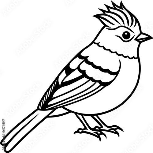 Kinglet line art vector