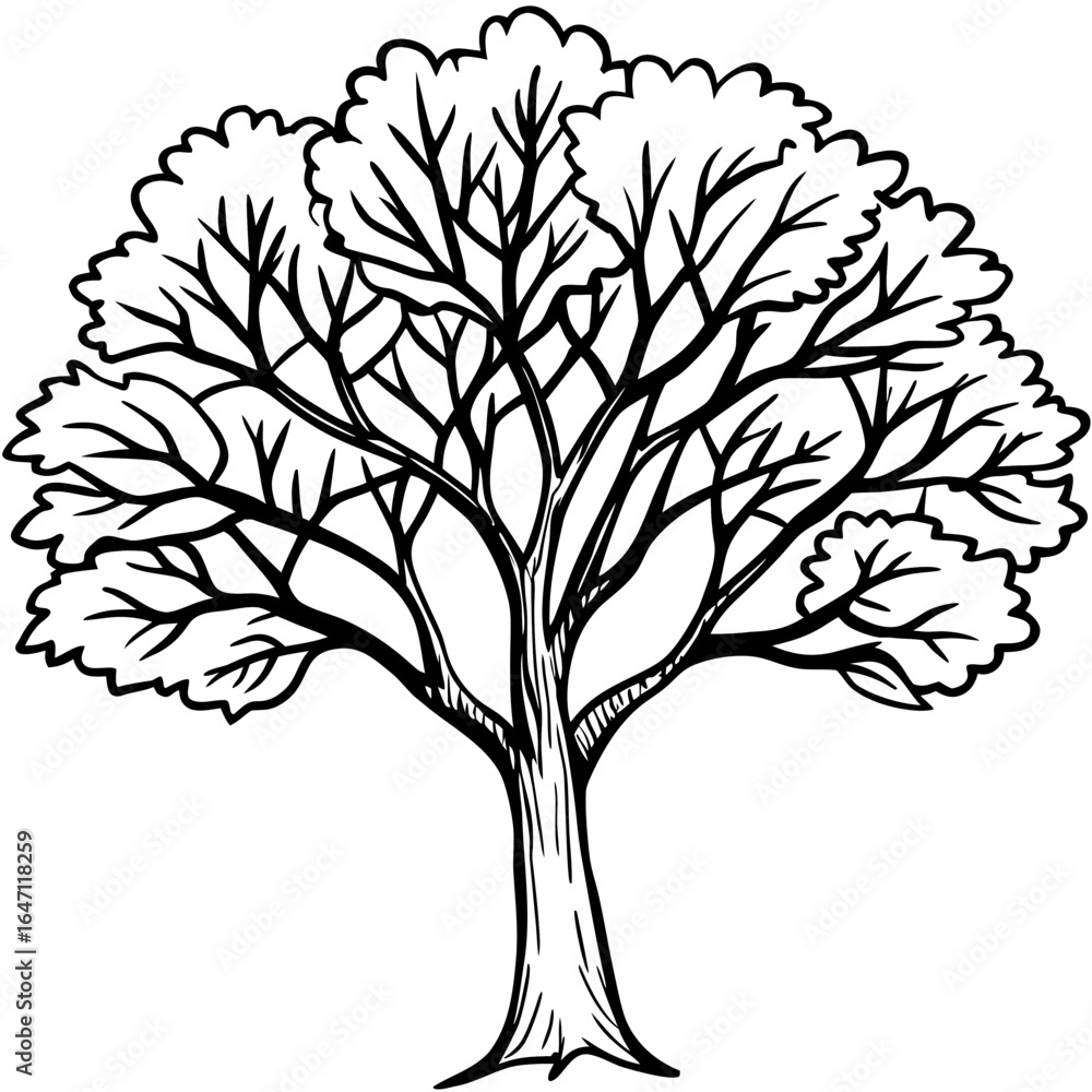 Obraz premium Eastern Redbud line art vector