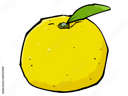 筆 ゆず 冬の果物 柚子 柑橘類 / Simple and cute hand drawn citron illustration