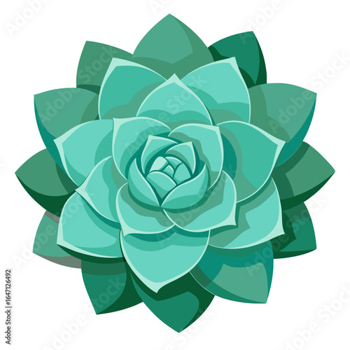 A beautiful succulent plant with thick, fleshy leaves arranged in a perfect rosette pattern.