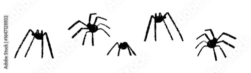 Black widow spider hand draw Halloween icon with realistic silhouette and web. Flat vector illustration isolated on white background.