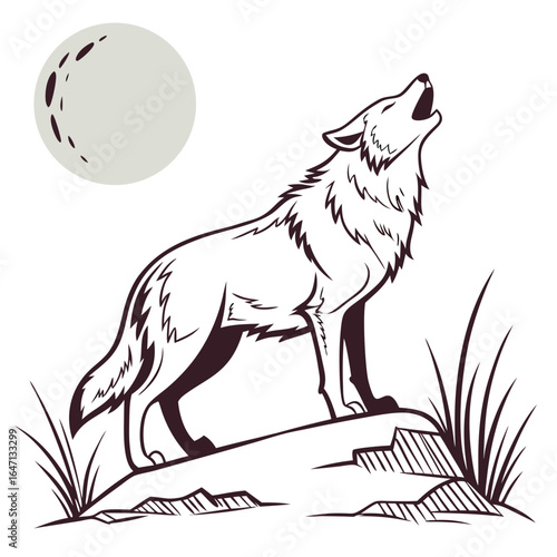 wolf