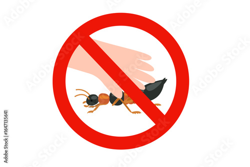 Paederus beetle make skin allergy concept