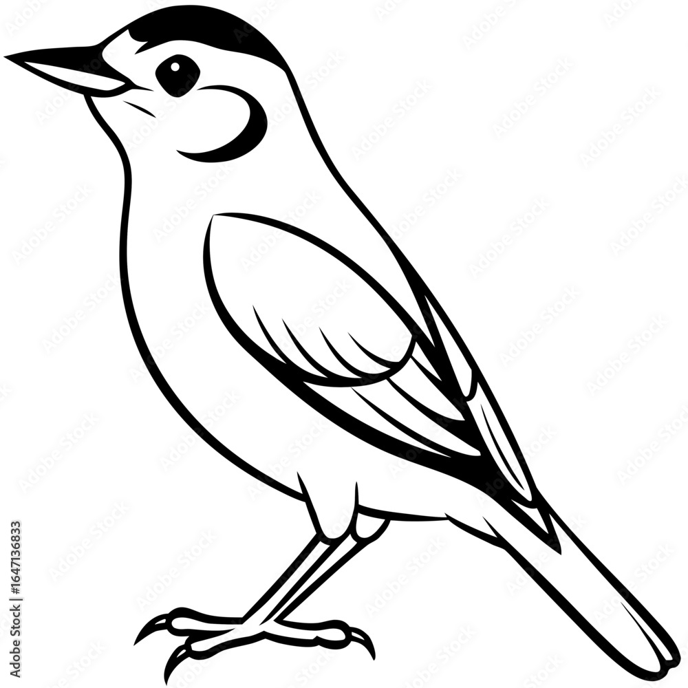 Obraz premium Nuthatch line art vector