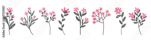 hand drawn vector illustration set of pink flowers on white
