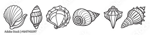  set of seashells black and white illustration for coloring
