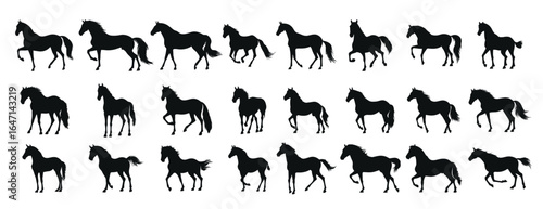 set of silhouettes of horse. horses standing. isolated on transparent background. 